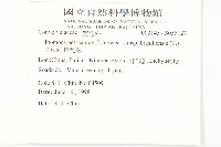 馬鞍藤藏品圖，第2張