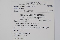 青莧藏品圖，第2張