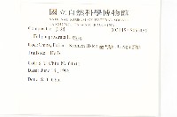 鱧腸藏品圖，第2張