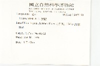 鱧腸藏品圖，第2張