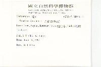 苦滇菜、苦菜藏品圖，第2張