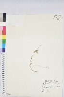 登錄號:S055156藏品圖，第1張