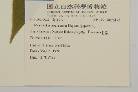 佩羅特木藏品圖，第2張