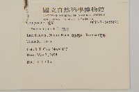 鬼針藏品圖，第2張