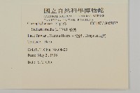 繁縷藏品圖，第2張