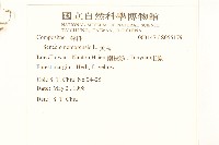 黃菀藏品圖，第2張