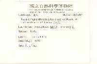 刀傷草藏品圖，第2張