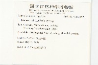 牽牛花藏品圖，第2張