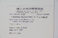 細葉蘭花參藏品圖，第2張