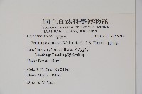 山桔梗藏品圖，第2張