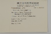 臺灣蠅子草藏品圖，第2張