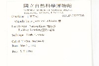 薺藏品圖，第2張