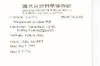 葶藶藏品圖，第2張