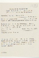 登錄號:S055228藏品圖，第2張