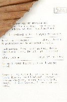 登錄號:S055234藏品圖，第2張