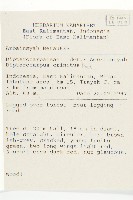 登錄號:S055235藏品圖，第2張