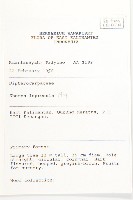 淺紅沙羅雙藏品圖，第2張