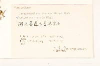 山萵苣藏品圖，第3張