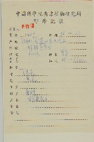 油菊、野菊藏品圖，第2張