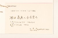 大丁草藏品圖，第3張