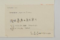 牡蒿藏品圖，第3張