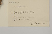 日本衛矛, 大葉黃楊藏品圖，第3張