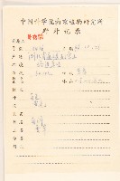 秋鼠麴草藏品圖，第2張