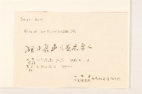 秋鼠麴草藏品圖，第3張