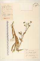 登錄號:S055330藏品圖，第1張