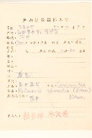 島田氏雞兒腸藏品圖，第2張