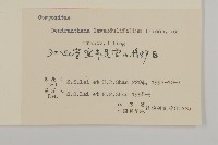 姜菱菊藏品圖，第3張