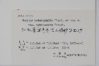 川榛藏品圖，第2張