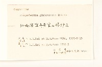 毛梗豨薟藏品圖，第3張