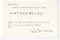 廣東葶藶藏品圖，第3張