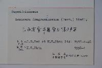 四月紅藏品圖，第2張