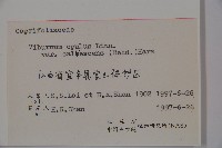 雞樹條莢迷藏品圖，第2張