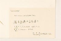 小米菊藏品圖，第3張