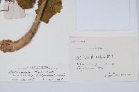 登錄號:S055573藏品圖，第2張