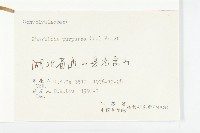 圓葉牽牛藏品圖，第3張