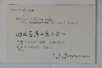 狹葉莢迷藏品圖，第2張