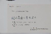 刻脈冬青藏品圖，第2張