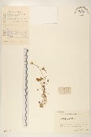 登錄號:S055717藏品圖，第1張