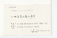 黃鵪菜藏品圖，第3張