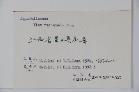 大柄冬青藏品圖，第2張