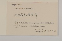 杓兒菜藏品圖，第3張