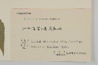 珍珠蒿、奇蒿藏品圖，第3張