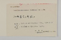 紫花堇菜藏品圖，第3張