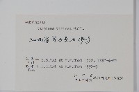 雷公鵝耳櫪藏品圖，第2張