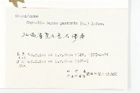 薺藏品圖，第3張