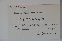 接骨木，木蒴藋藏品圖，第2張